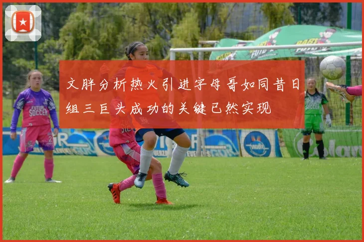 文胖分析热火引进字母哥如同昔日组三巨头成功的关键已然实现